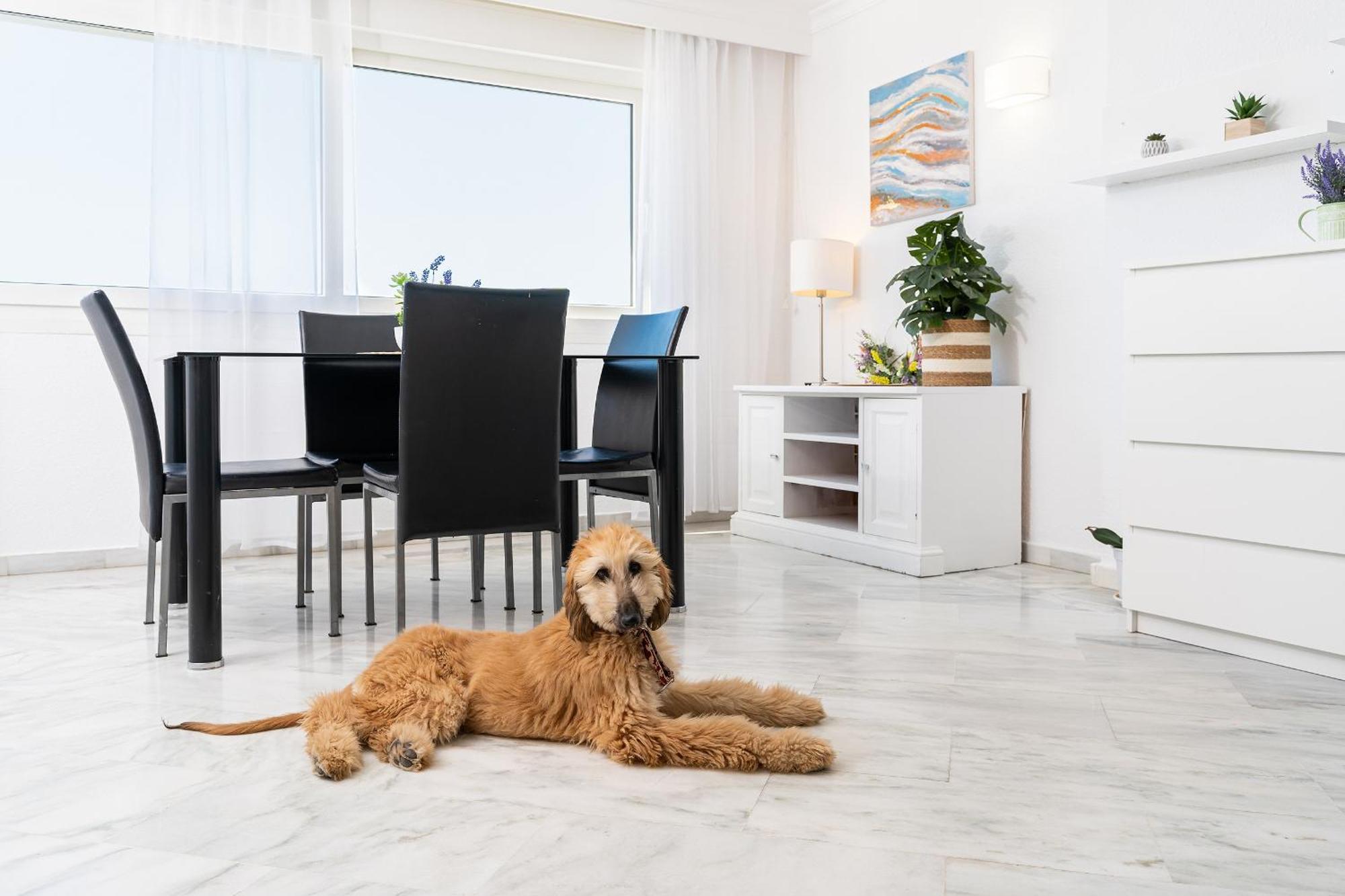Apartmán Monko Bora Bora Benalmádena Exteriér fotografie